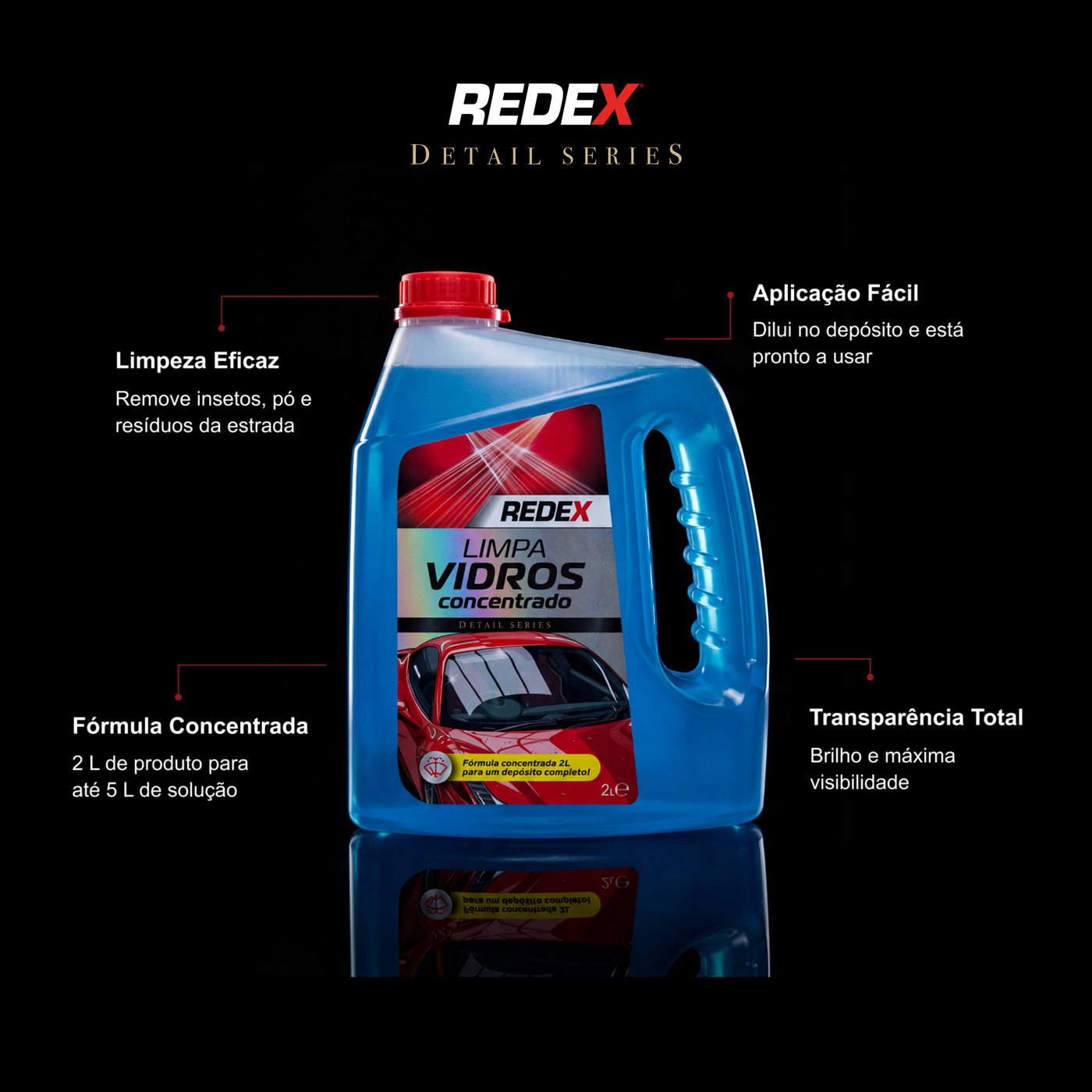 Detailer Interior aplicado