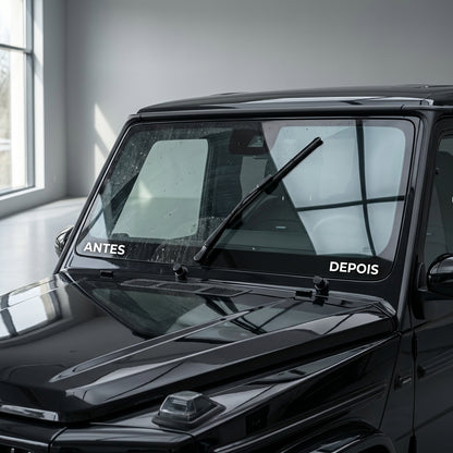 Redex Limpa Vidros Removente Insetos 5L