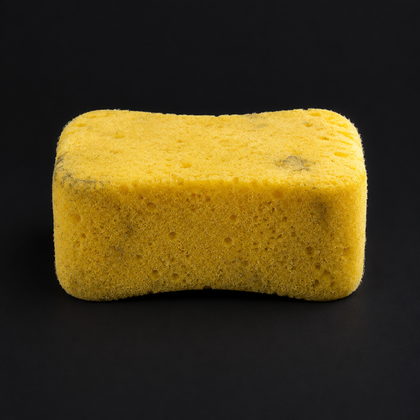 Esponja