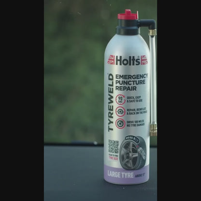 Holts Anti Furo 300 ml — 300 ml